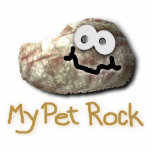 funny pet rock photo cut outs