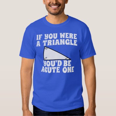 Funny Pickup Line: Triangle T Shirt