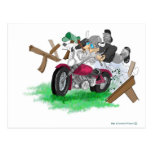 Funny picture of man on motorcycle crashing post cards