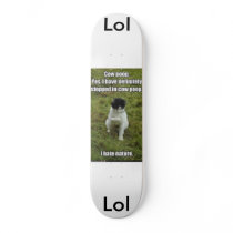 funny-pictures-cat-hates-nature1, Lol, Lol skateboards