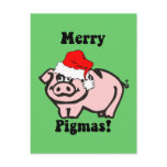 Funny pig Christmas Post Card