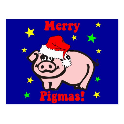 Funny pig Christmas Post Card