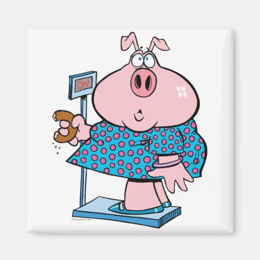 funny pig on a diet eating a donut on a scale fridge magnets
