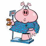 funny pig on a diet eating a donut on a scale photo sculptures