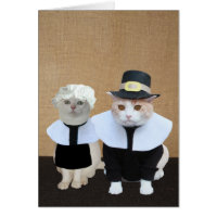 Funny Pilgrim Cats Thanksgiving Card
