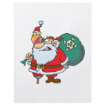 funny pirate santa and xmas parrot cartoon flyers