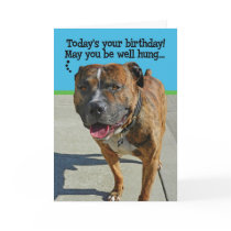 Funny Pit Bull Birthday Card