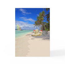 Funny Polar Bear Christmas cards by Cardsharkkid Funny Polar Bear Christmas cards
