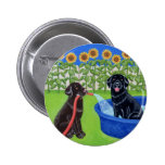 Funny Pool Party Labradors buttons