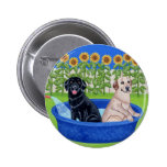 Funny Pool Party Labradors buttons