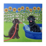 Funny Pool Party Labradors tiles