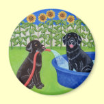 Funny Pool Party Labradors magnets