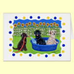 Funny Pool Party Labradors cards