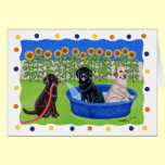 Funny Pool Party Labradors cards