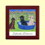 Funny Pool Party Labradors gift boxes