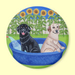 Funny Pool Party Labradors magnets