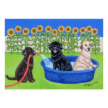 Funny Pool Party Labradors Personalized Invitation