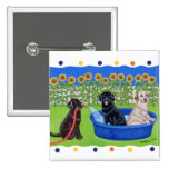 Funny Pool Party Labradors buttons