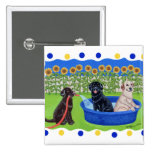 Funny Pool Party Labradors buttons