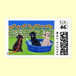 Funny Pool Party Labradors stamps