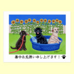 Funny Pool Party Labradors postcards