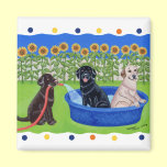 Funny Pool Party Labradors magnets