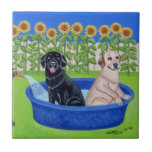 Funny Pool Party Labradors tiles