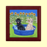 Funny Pool Party Labradors gift boxes