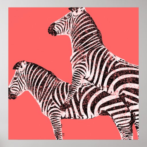 Funny Poster Two Headed Zebra