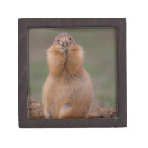 funny prairie dog premium gift boxes