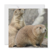 Funny Prairie Dogs Invitations