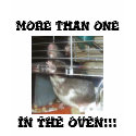 FUNNY PREGNANT RAT MORE THAN ONE, IN THE OVEN!!! t-shirts