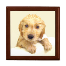 Funny Puppy Bath Keepsake Gift Box