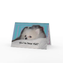 Funny Puppy Birthday Card
