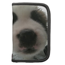 Funny Puppy Nose Organizer