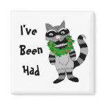 Funny Raccoon Magnet