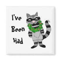 Funny Raccoon magnets