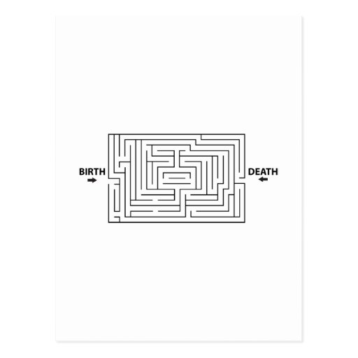 Funny Rat Race Maze Postcards