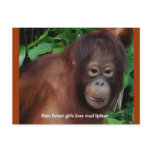 Funny Redhead Jungle Girl Beauty Advice  #1 Post Cards