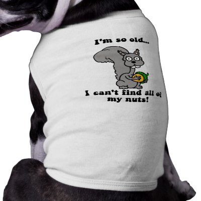 Funny retirement pet clothing