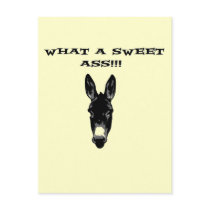 Funny Retro Donkey SweetAss Post Cards