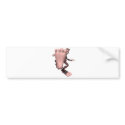 funny sasquatch bigfoot bumper stickers by doonidesigns funny sasquatch bigfoot bumper stickers