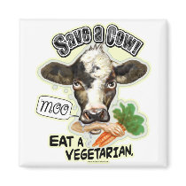 Funny Save a Cow Eat a Vegetarian Gifts Magnets