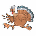 funny scared turkey photosculpture