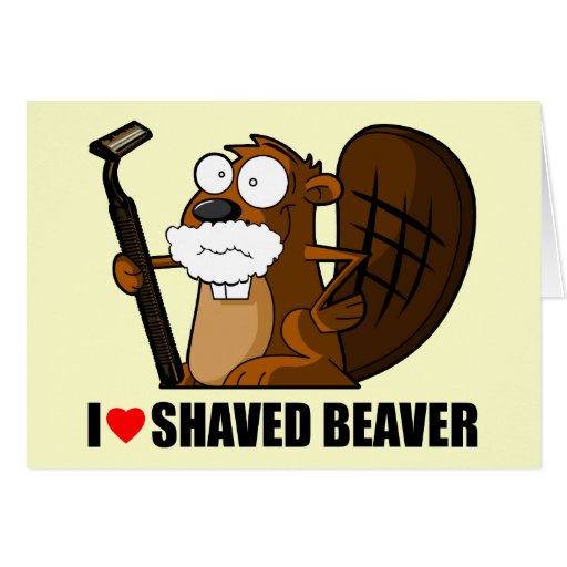 Funny Shaved Beaver Greeting Cards Zazzle