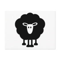 Funny sheep postcards