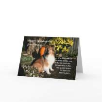 Funny Sheltie Thanksgiving Card