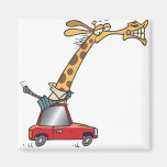 funny silly giraffe in a car commuting refrigerator magnet