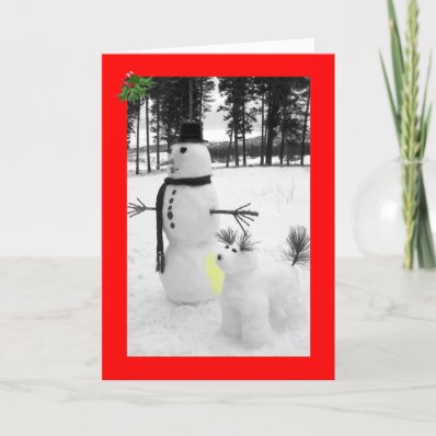 Funny snowman Christmas Cards