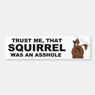 Funny squirrel bumper sticker